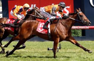 Impressive Stakes Win for Karaka Graduate Legless Veuve (NZ). Photo: Darryl Sherer.
